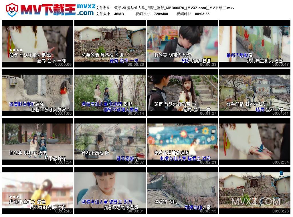 弦子-刺猬与仙人掌_国语_流行_MED00570